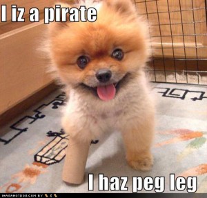 cute-puppy-pictures-peg-leg-pirate